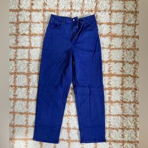 Everlane The Way High Jeans Size 30 Tall Archroma Blue Lapis